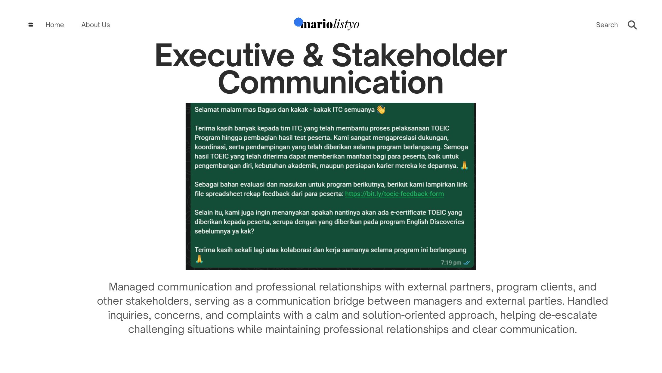 Portfolio slide 12 of 24 — Mario Listyo Setiawan