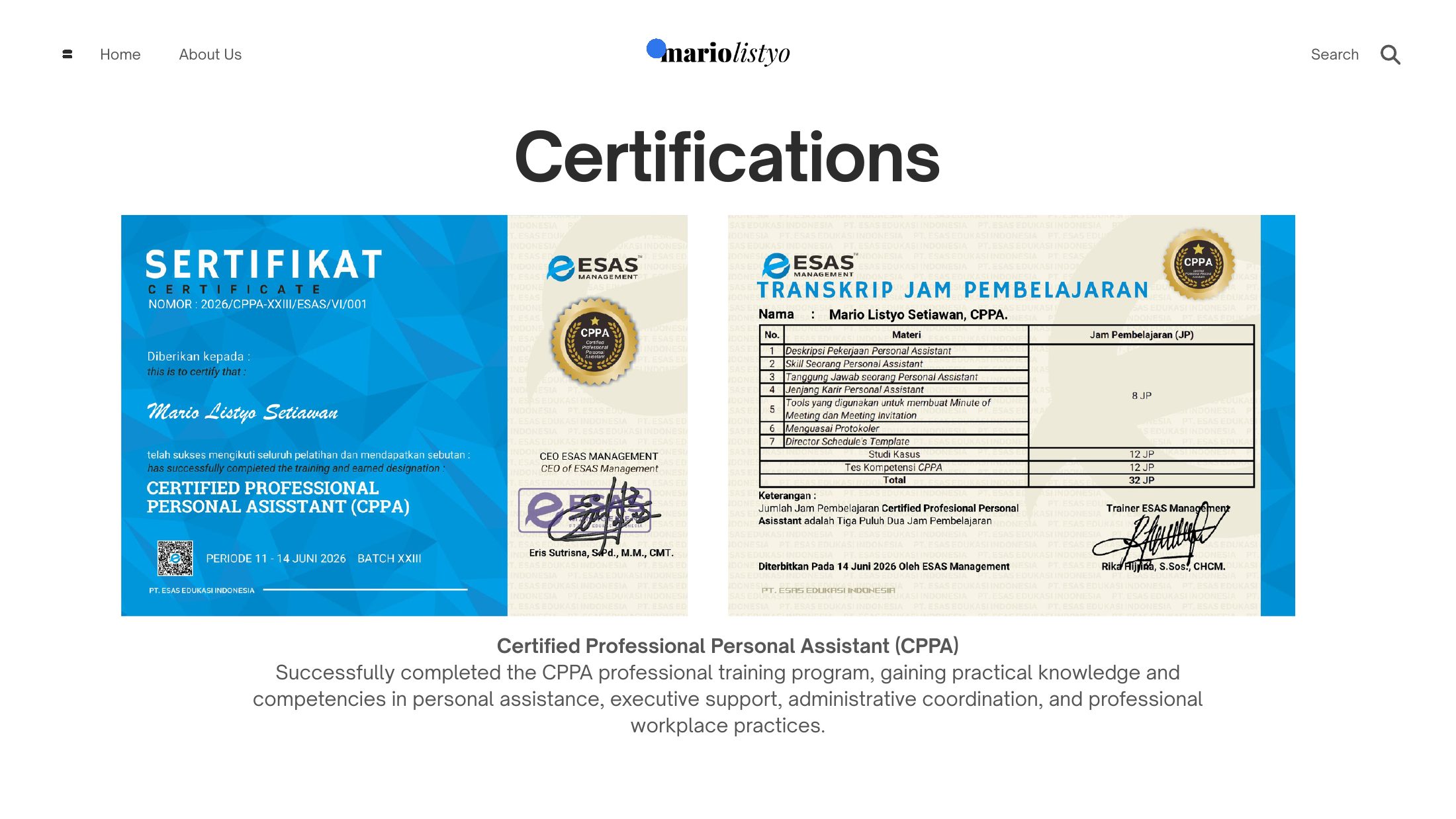 Portfolio slide 21 of 24 — Mario Listyo Setiawan
